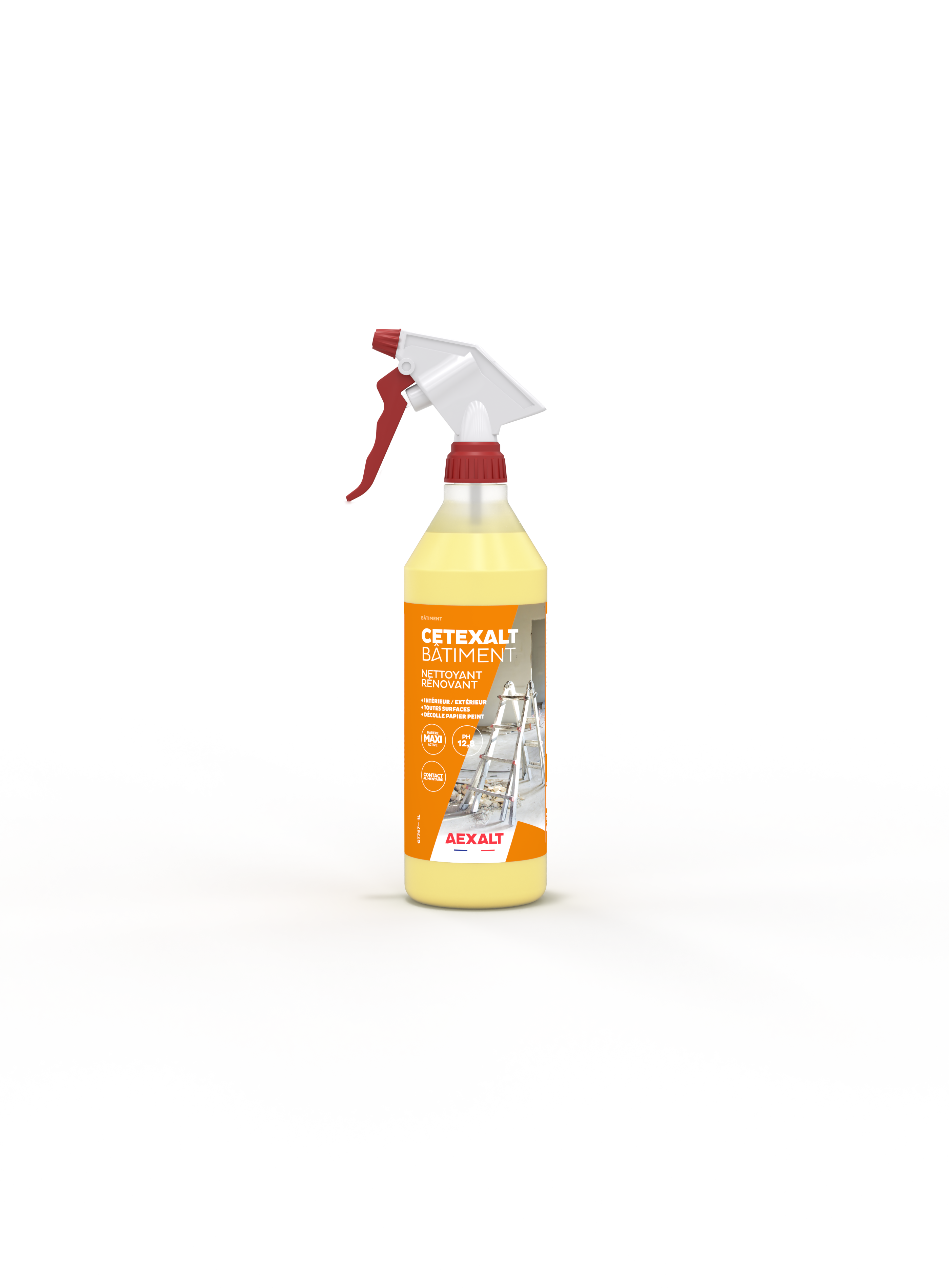 CETEXALT BATIMENT - 1L + PISTOLET