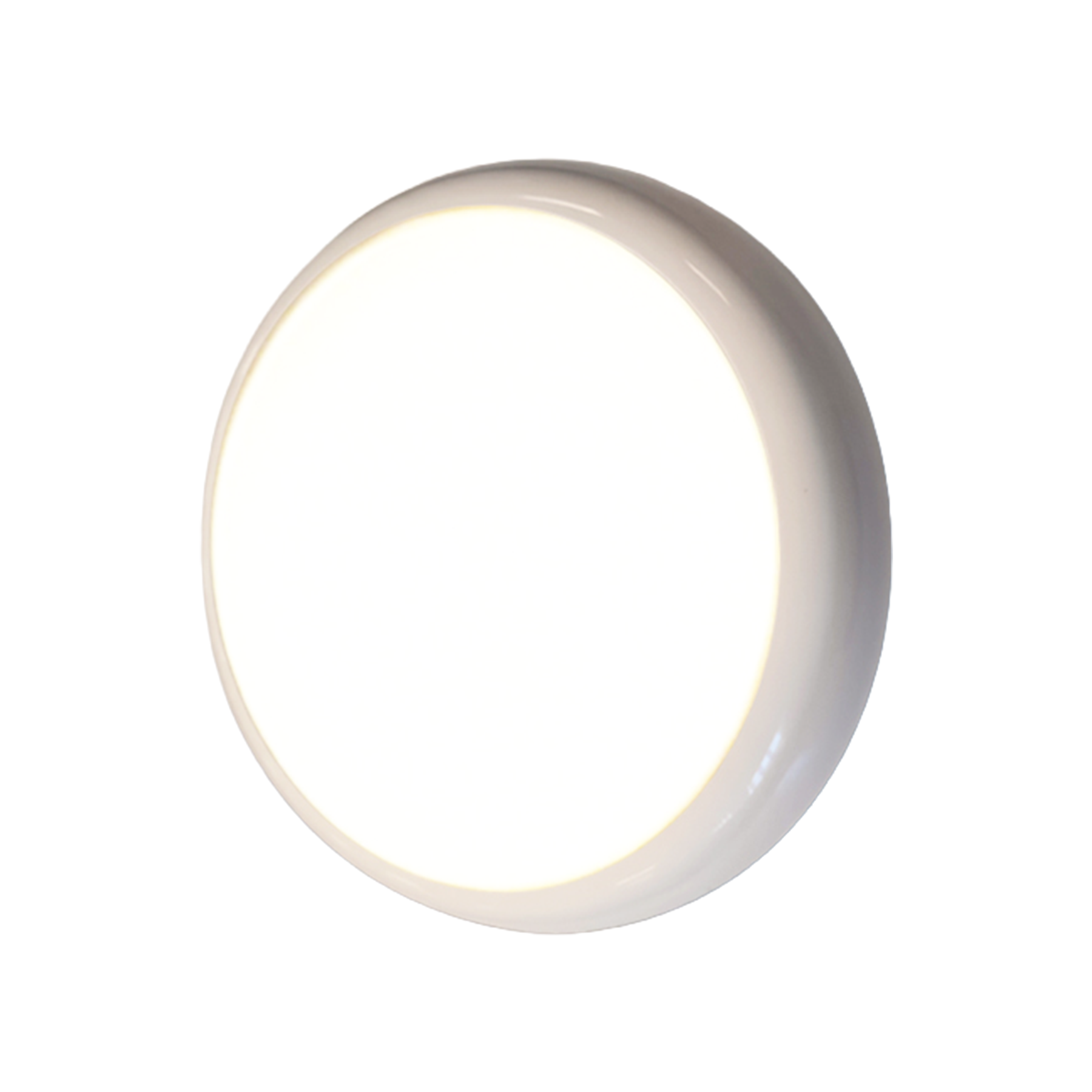 TN_LYRA_712992_3.png