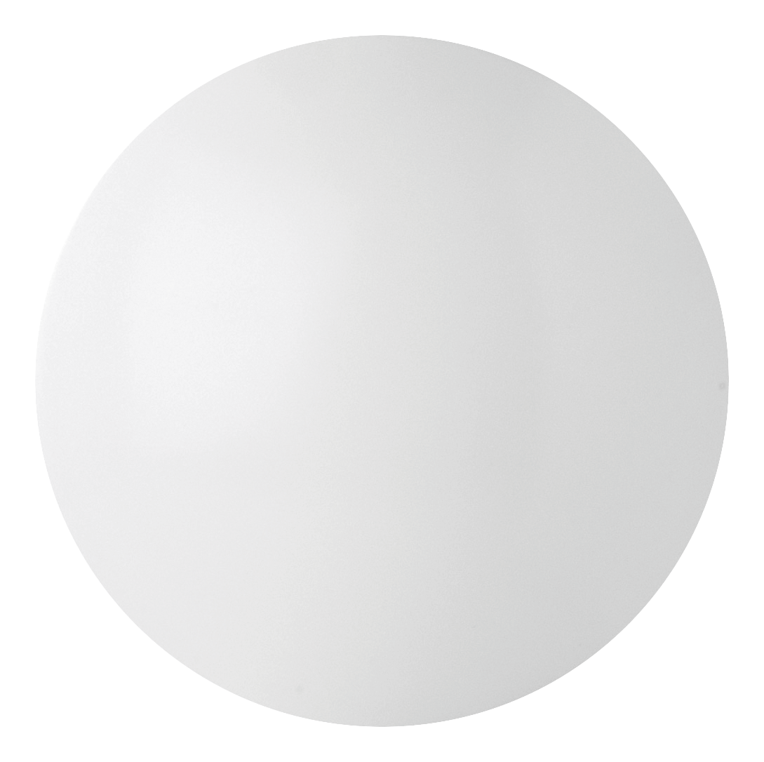 PP_RENZO_712193_2.png